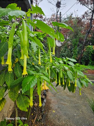 박용열조물주님 님의 자유주제 · 자유게시판 작성글 사진