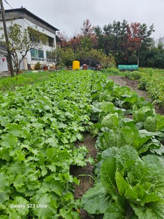 박용열조물주님 님의 자유주제 · 자유게시판 작성글 사진