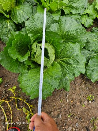 박용열조물주님 님의 자유주제 · 자유게시판 작성글 사진