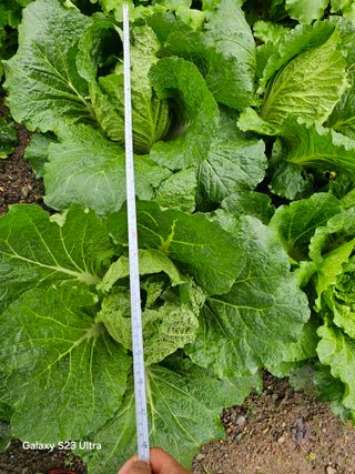 박용열조물주님 님의 자유주제 · 자유게시판 작성글 사진