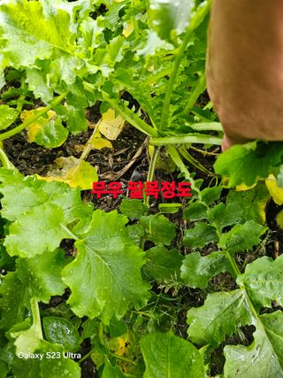 박용열조물주님 님의 자유주제 · 자유게시판 작성글 사진