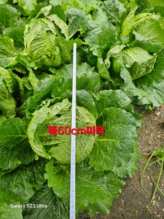 박용열조물주님 님의 자유주제 · 자유게시판 작성글 사진