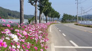 긍정에농군님의 우리동네 가을단풍 자랑하기 · 참여글 작성글 사진