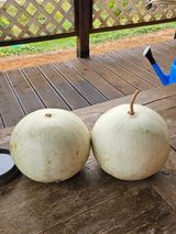 팜모닝 · 게시글 이미지