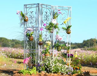 대추.야생화김민경님의 우리동네 가을단풍 자랑하기 · 참여글 작성글 사진