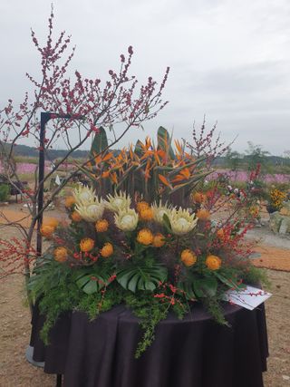 대추.야생화김민경님의 우리동네 가을단풍 자랑하기 · 참여글 작성글 사진