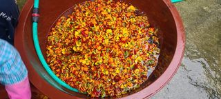 정진해님의 자유주제 · 자유게시판 작성글 사진