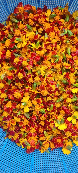 정진해님의 자유주제 · 자유게시판 작성글 사진