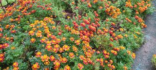 정진해님의 자유주제 · 자유게시판 작성글 사진