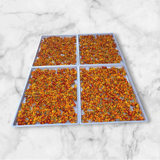 정진해님의 자유주제 · 자유게시판 작성글 사진