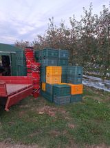 팜모닝 사과·영농일지 게시글 이미지