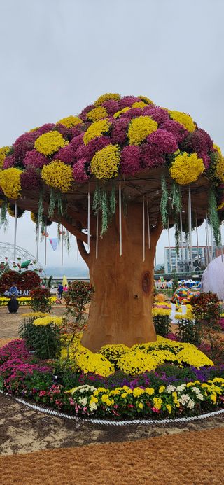 한중리님의 우리동네 가을단풍 자랑하기 · 참여글 작성글 사진