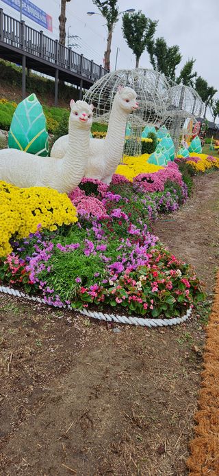 한중리님의 우리동네 가을단풍 자랑하기 · 참여글 작성글 사진