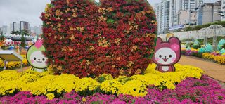 한중리님의 우리동네 가을단풍 자랑하기 · 참여글 작성글 사진