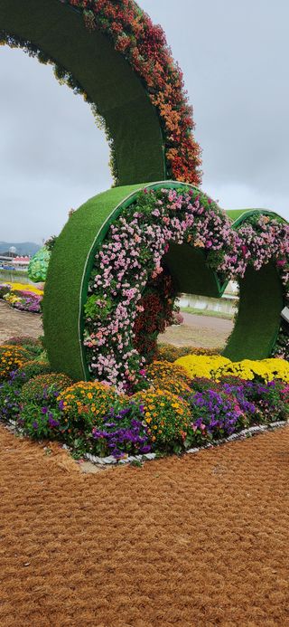 한중리님의 우리동네 가을단풍 자랑하기 · 참여글 작성글 사진