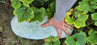 김광석님의 자유주제 · 자유게시판 작성글 사진