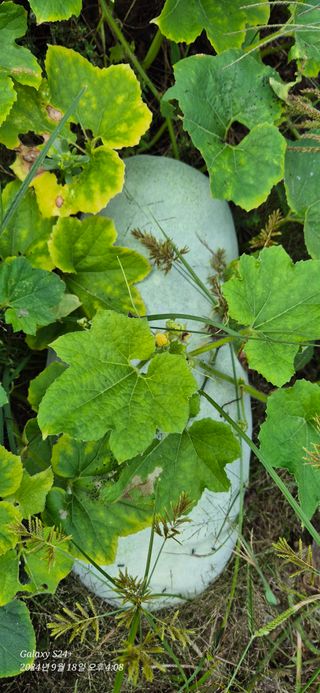 김광석님의 자유주제 · 자유게시판 작성글 사진