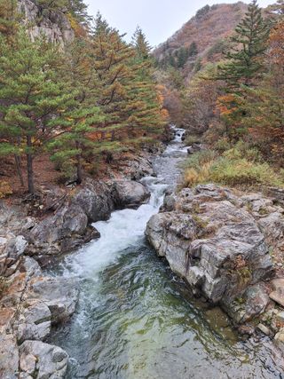 에바다님의 우리동네 가을단풍 자랑하기 · 참여글 작성글 사진