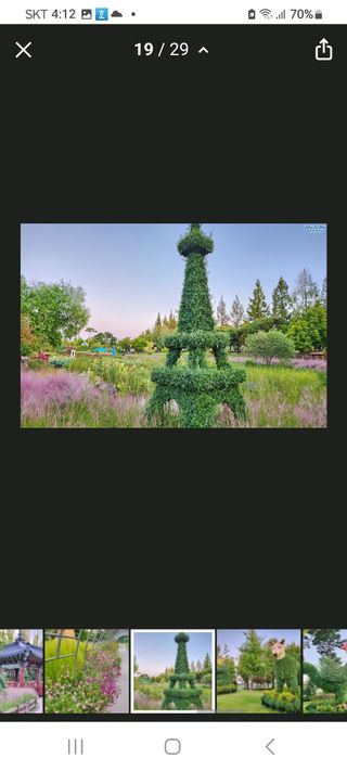 김길수님의 우리동네 가을단풍 자랑하기 · 참여글 작성글 사진