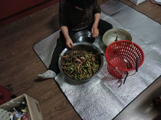 알 수 없음님의 자유주제 · 자유게시판 작성글 사진