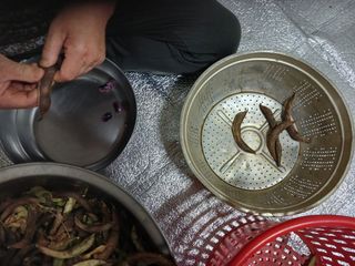 알 수 없음님의 자유주제 · 자유게시판 작성글 사진