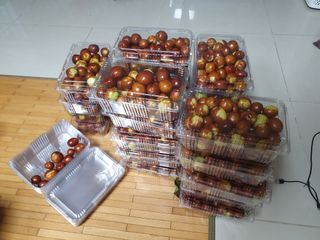 한상동님의 기타작물 · 영농일지 작성글 사진