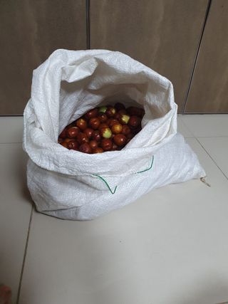 한상동님의 기타작물 · 영농일지 작성글 사진