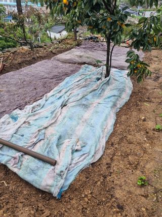 김용대님의 자유주제 · 자유게시판 작성글 사진