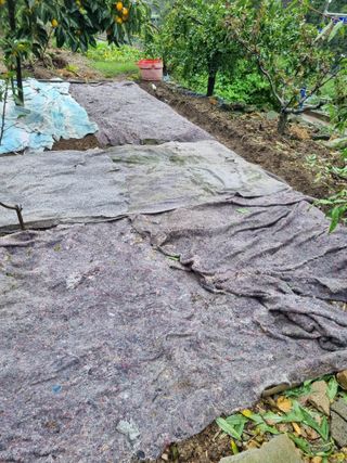 김용대님의 자유주제 · 자유게시판 작성글 사진