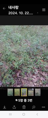 팜모닝 농사, 무엇이든 물어보세요!·참여글 게시글 이미지