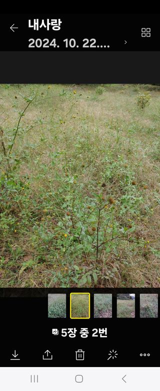 이기호님의 농사, 무엇이든 물어보세요! · 참여글 작성글 사진