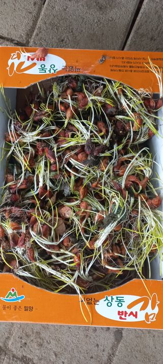 우포로찐님의 자유주제 · 자유게시판 작성글 사진