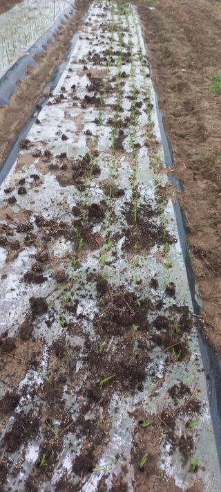 우포로찐님의 자유주제 · 자유게시판 작성글 사진