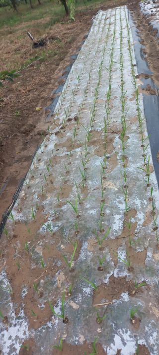 우포로찐님의 자유주제 · 자유게시판 작성글 사진