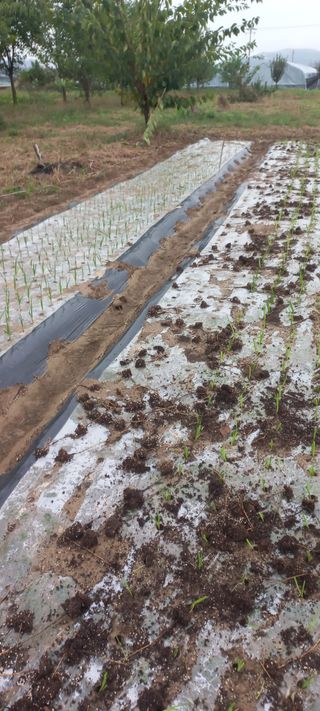 우포로찐님의 자유주제 · 자유게시판 작성글 사진