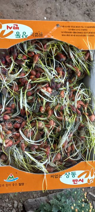 우포로찐님의 자유주제 · 자유게시판 작성글 사진