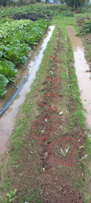 우포로찐님의 자유주제 · 자유게시판 작성글 사진