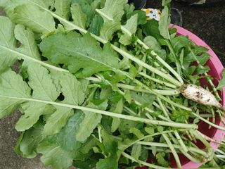 금동이네님의 자유주제 · 자유게시판 작성글 사진