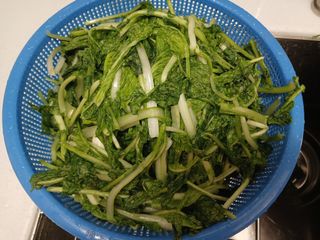 금동이네님의 자유주제 · 자유게시판 작성글 사진