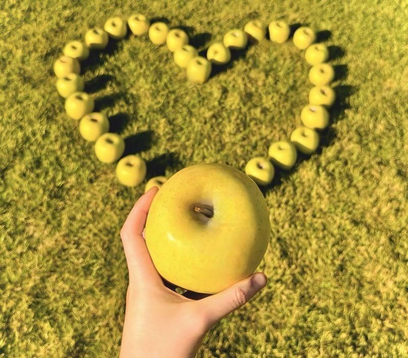 농부손녀님의 장터 판매 상품 [[정품] 시나노골드 황금사과 5kg / 10kg] 첨부 사진