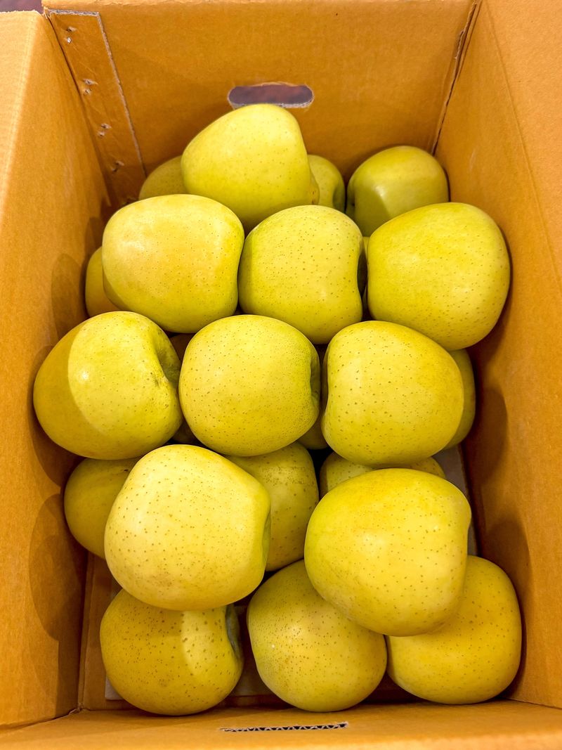 농부손녀님의 장터 판매 상품 [[정품] 시나노골드 황금사과 5kg / 10kg] 첨부 사진