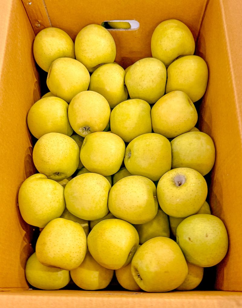 농부손녀님의 장터 판매 상품 [[정품] 시나노골드 황금사과 5kg / 10kg] 첨부 사진