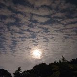 팜모닝 자유주제·자유게시판 게시글 이미지