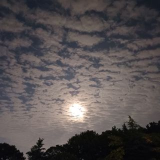 알 수 없음님의 자유주제 · 자유게시판 작성글 사진