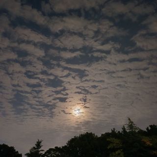 알 수 없음님의 자유주제 · 자유게시판 작성글 사진