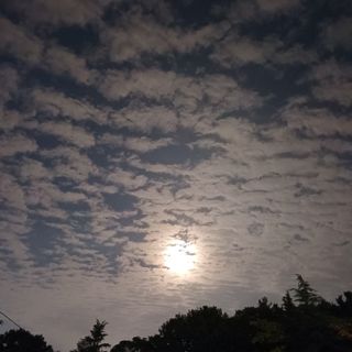 알 수 없음님의 자유주제 · 자유게시판 작성글 사진