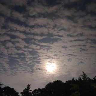 알 수 없음님의 자유주제 · 자유게시판 작성글 사진