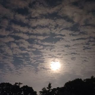 알 수 없음님의 자유주제 · 자유게시판 작성글 사진