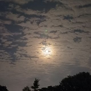 알 수 없음님의 자유주제 · 자유게시판 작성글 사진