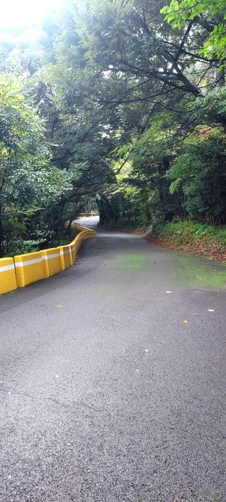 안재성님의 자유주제 · 사진전 작성글 사진